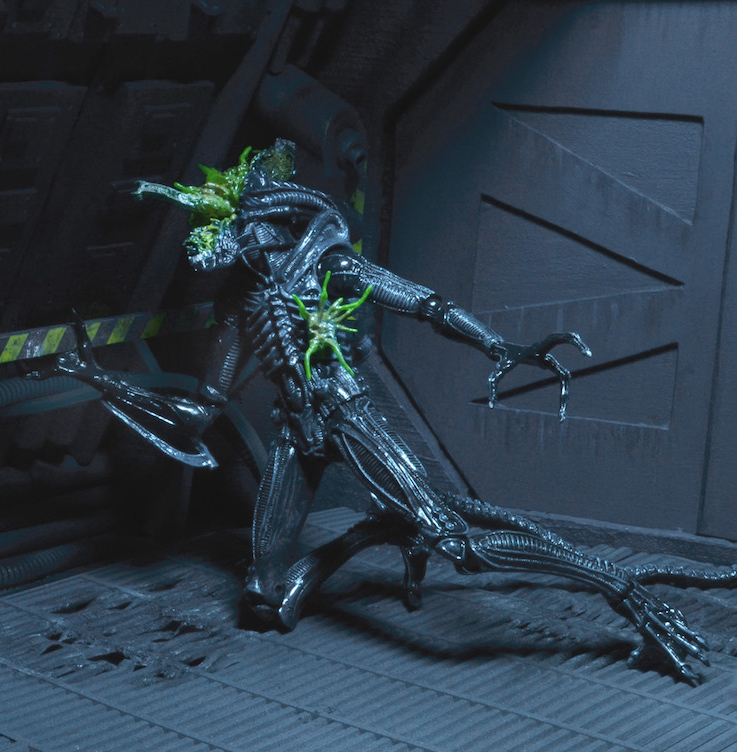 Aliens-Series-12-by-NECA-003.jpg