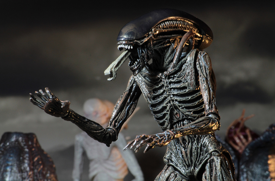 Alien Covenant – 7in Scale Action Figure – Xenomorph 06.jpg