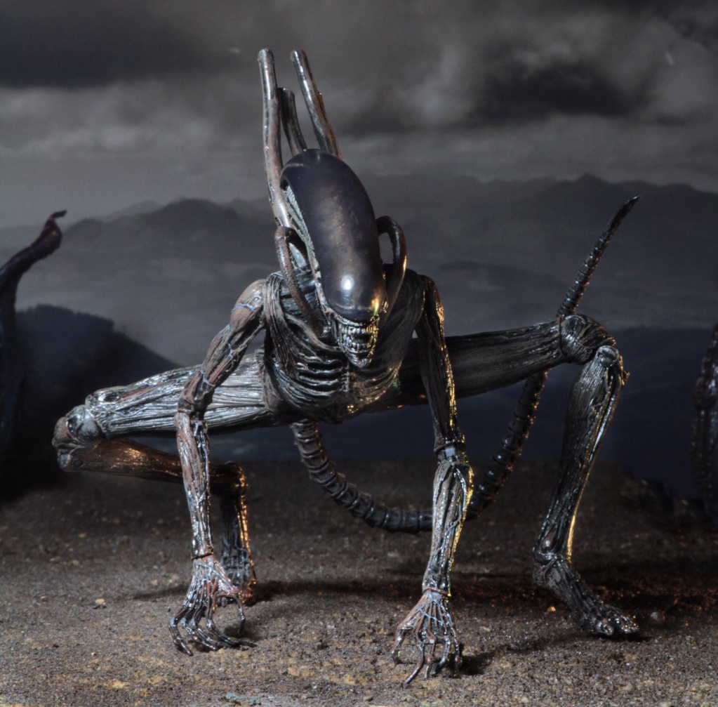 NECA Aliens Covenant Xenomorph-1.jpg