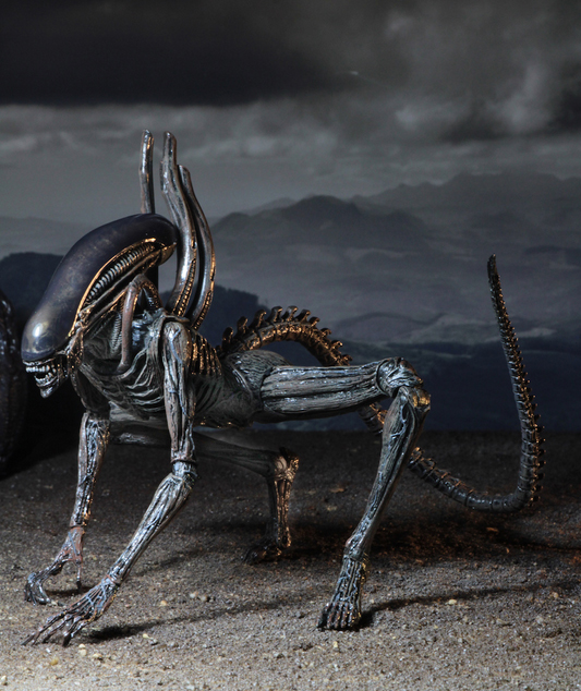 Alien Covenant – 7in Scale Action Figure – Xenomorph 04.jpg