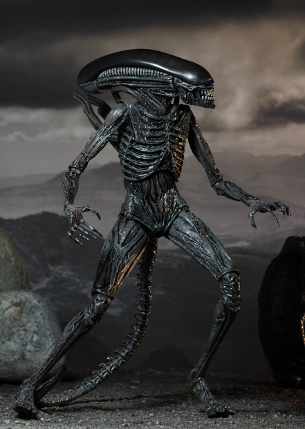 Alien Covenant – 7in Scale Action Figure – Xenomorph 03.jpg
