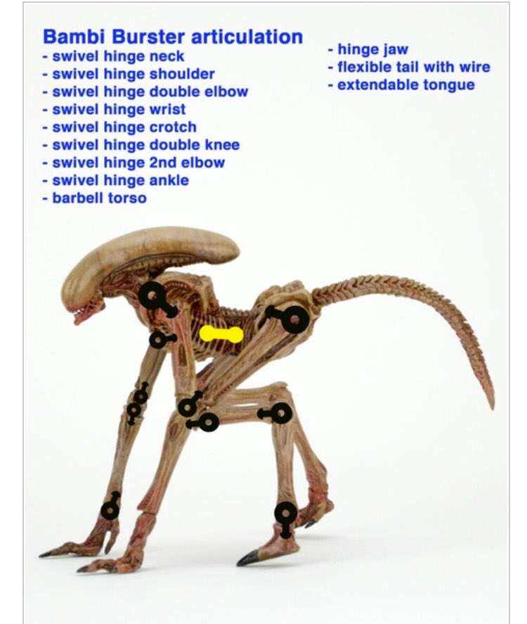 Cxl55CFWgAAA4-D.jpg
